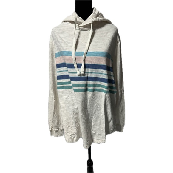 American Eagle‎ SuperSoft Standard Fit Pastel Striped Hoodie Size L - Picture 1 of 3